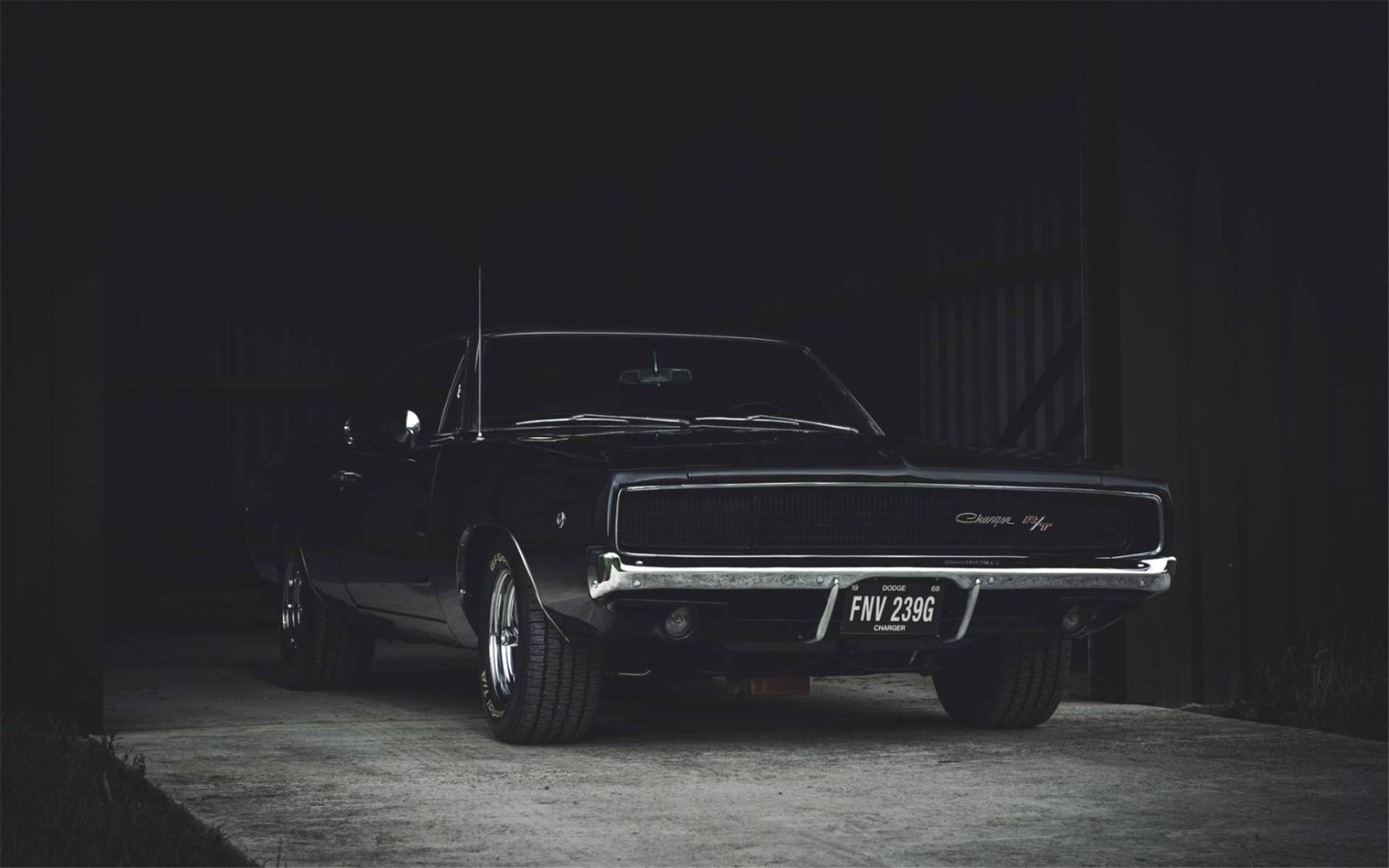 xpel xpel隐形车衣 成都车身贴膜 成都汽车贴膜