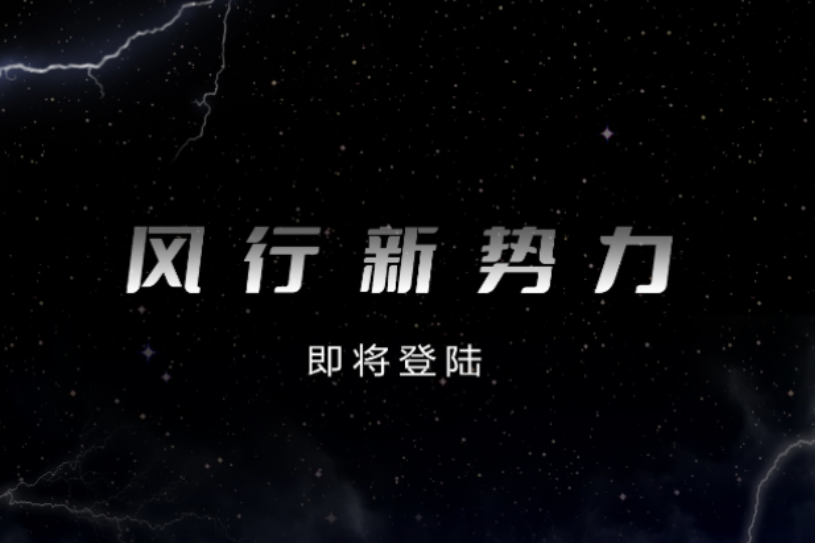 XPEL官网